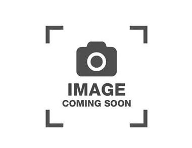 RAM PROMASTER 2500 2021 3C6ERVDG6ME505710 image